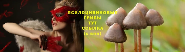 MDMA Михайлов