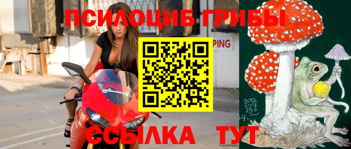 Псилоцибиновые грибы Psilocybine cubensis Моршанск