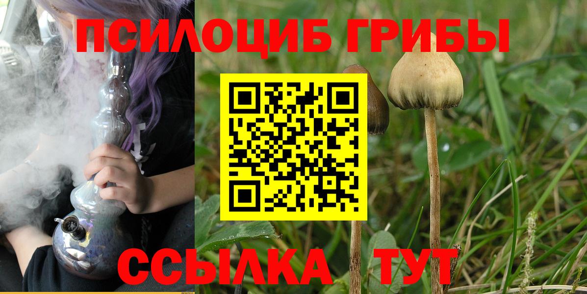 Моршанск  Галлюциногенные грибы MAGIC MUSHROOMS  Вход с VPN 